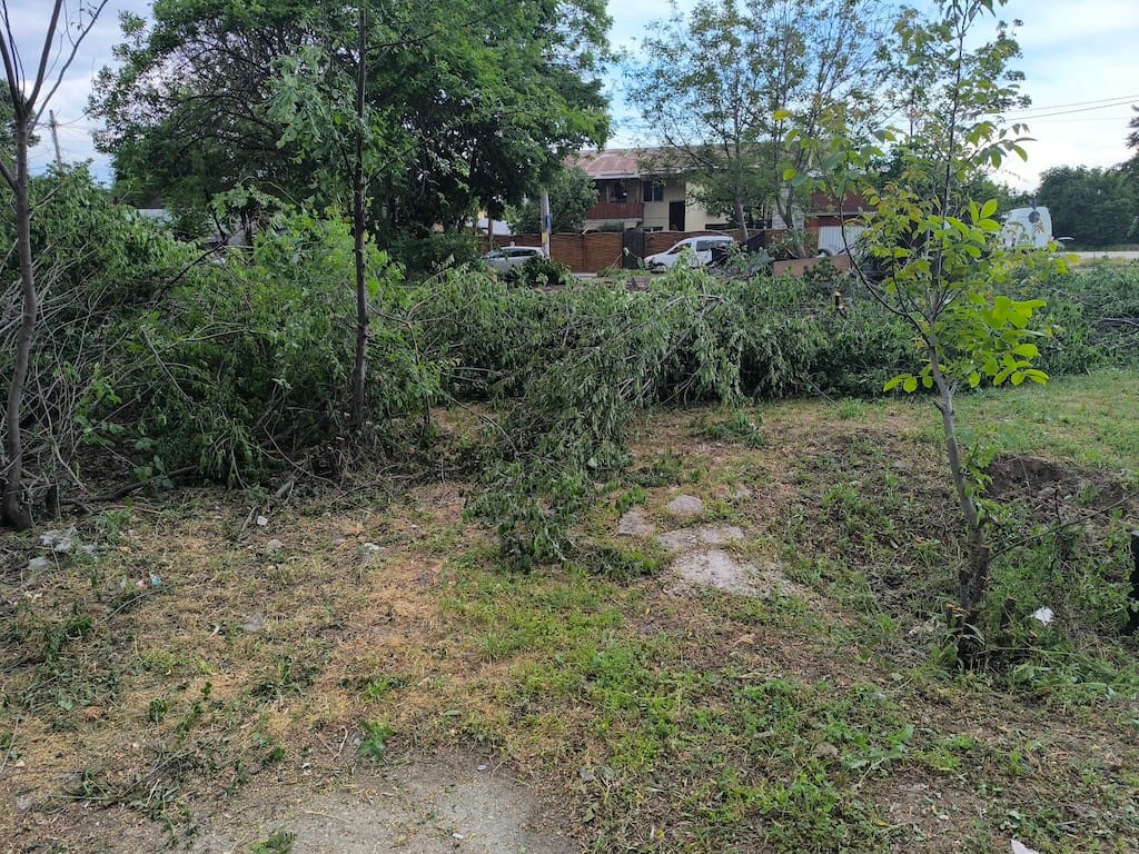 Saga parcului Șinei - III