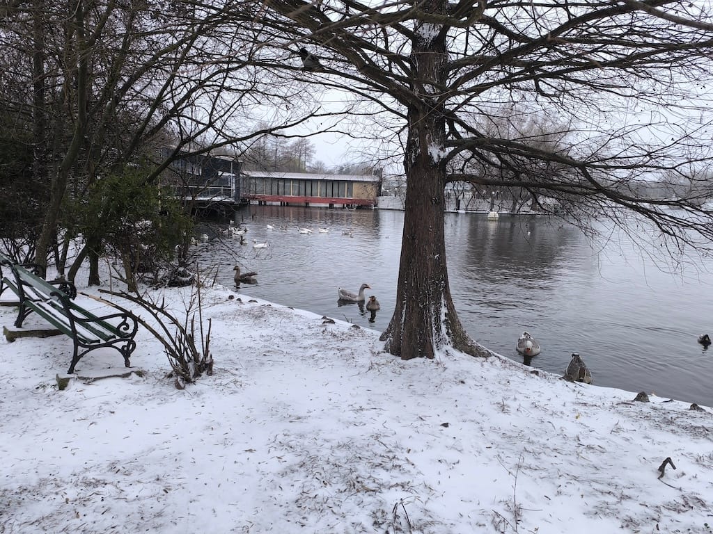 Alergarea de Crăciun