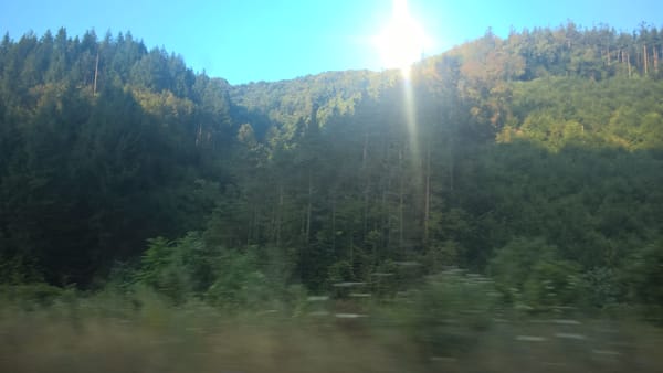 Cronica unei vacanțe: la bulgari