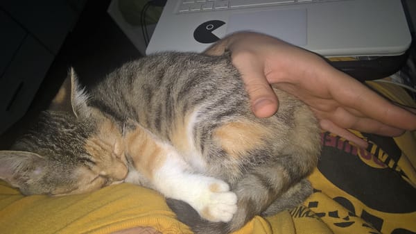 Gângania teroristă