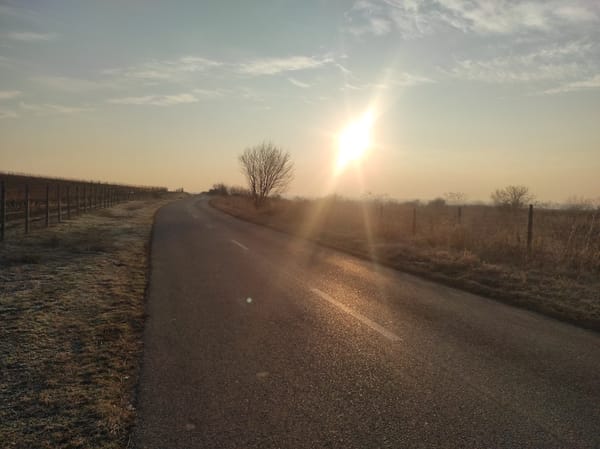 Viața lentă de la țară - IV