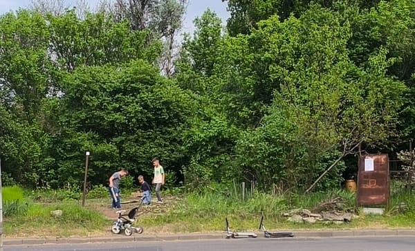 Saga parcului Șinei - I