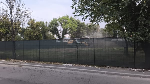 Parcul Șinei, jurnal de șantier - I