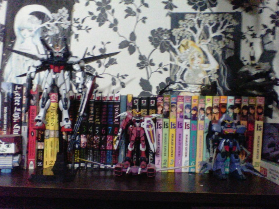 Kit-uri Gundam, un hobby de baieti mari