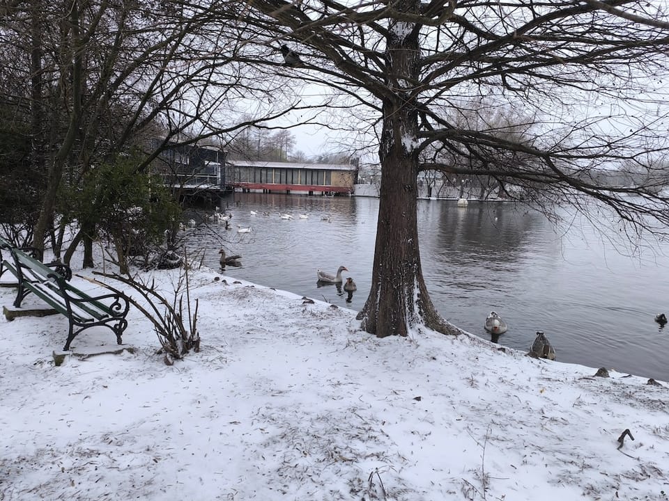 Alergarea de Crăciun